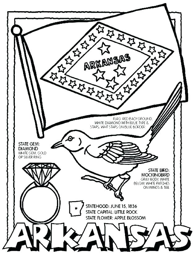 627x815 Florida State Flag Coloring Pages