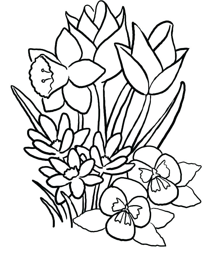 728x878 Flower Bouquet Coloring Pages Publications Creative Haven