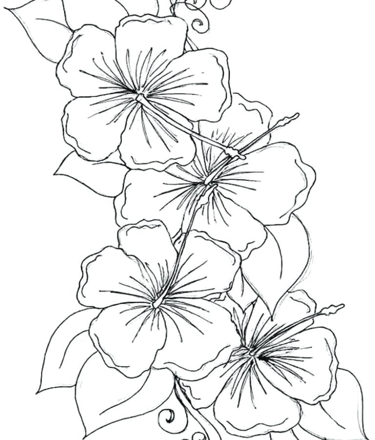 768x900 Flower Bouquets Coloring Pages