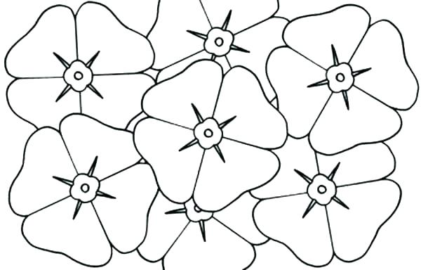 600x384 Poppy Coloring Pages Poppy Coloring Page Poppy Coloring Page Poppy