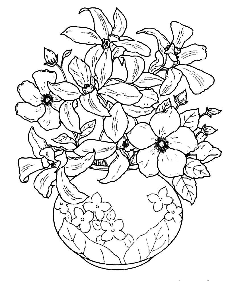 801x984 Unbelievable Vase And Coloring Page Pic For Flower Arrangement