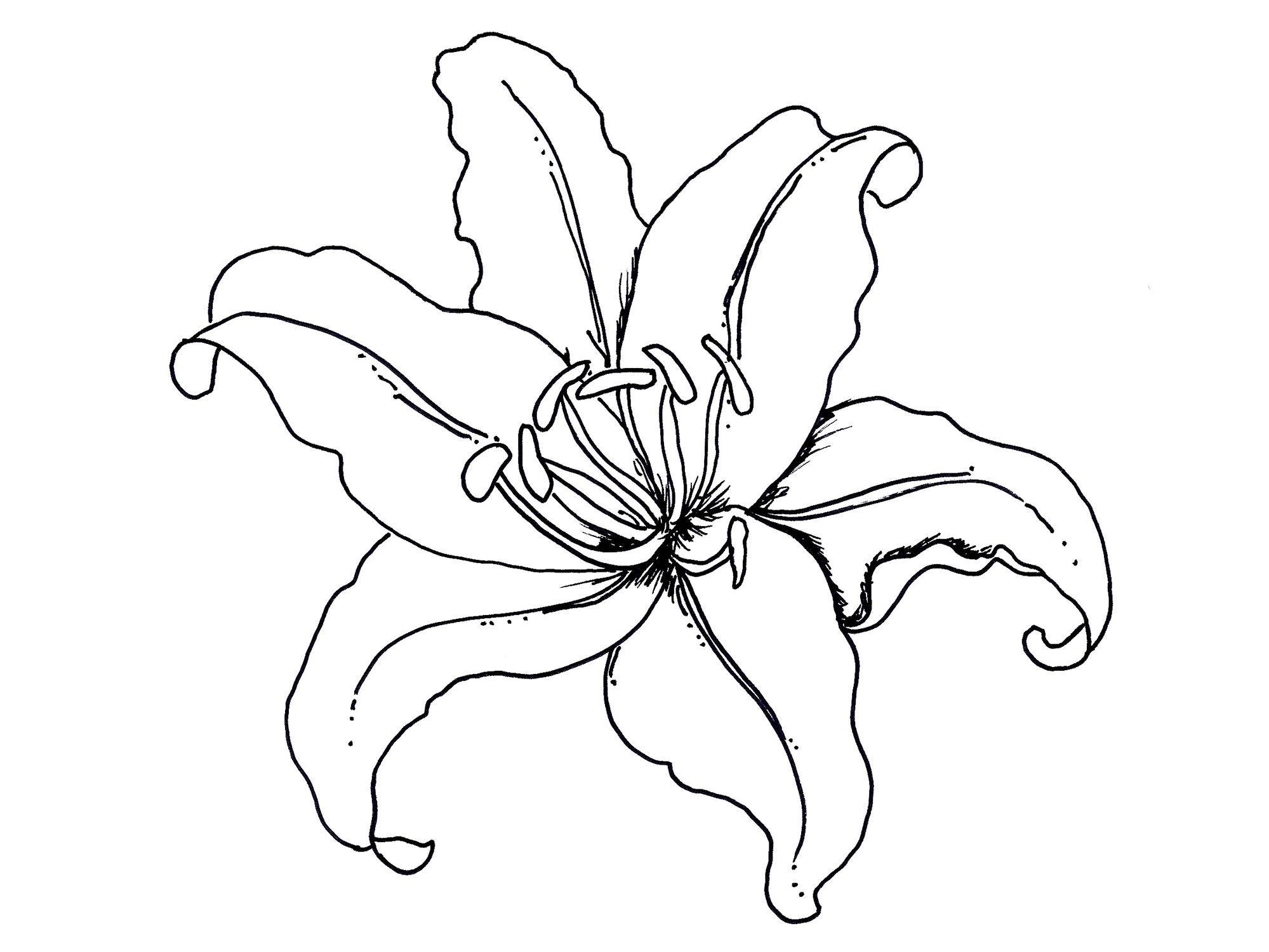 1999x1500 Flowers Coloring Pages Coloring Pages For Kids