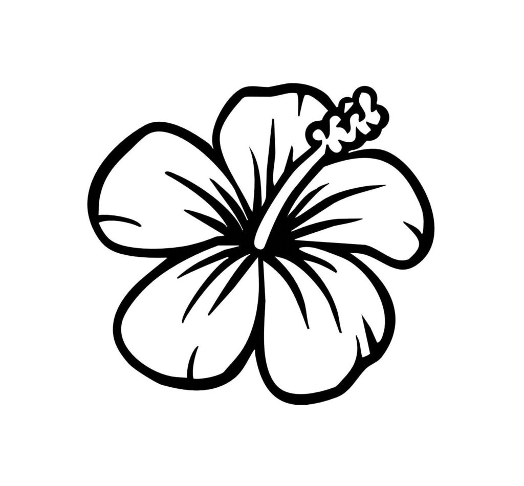 1024x950 Huge Gift Flowers Outlines For Colouring Flower Coloring Pages