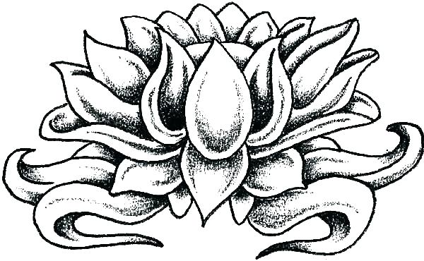 600x370 Lotus Flower Coloring Page As Well As Lotus Flower Coloring Page