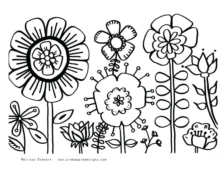 736x567 Coloring Pages For Watercolor Vanda