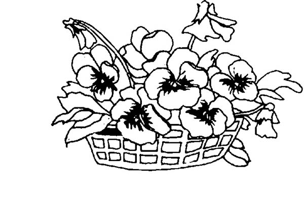 600x393 Spring Flower On A Basket Coloring Page Color Luna