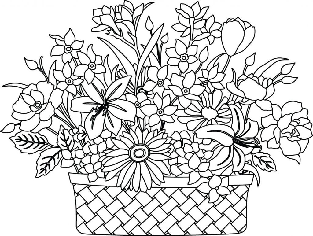 1024x772 The Best Flower Basket Drawing Coloring Page In Of Concept