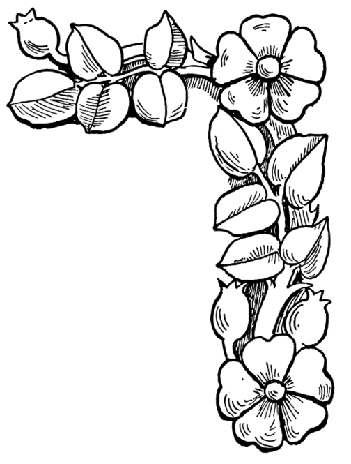 504x665 Flowers Coloring Pages Color Printing Flower Coloring Pages