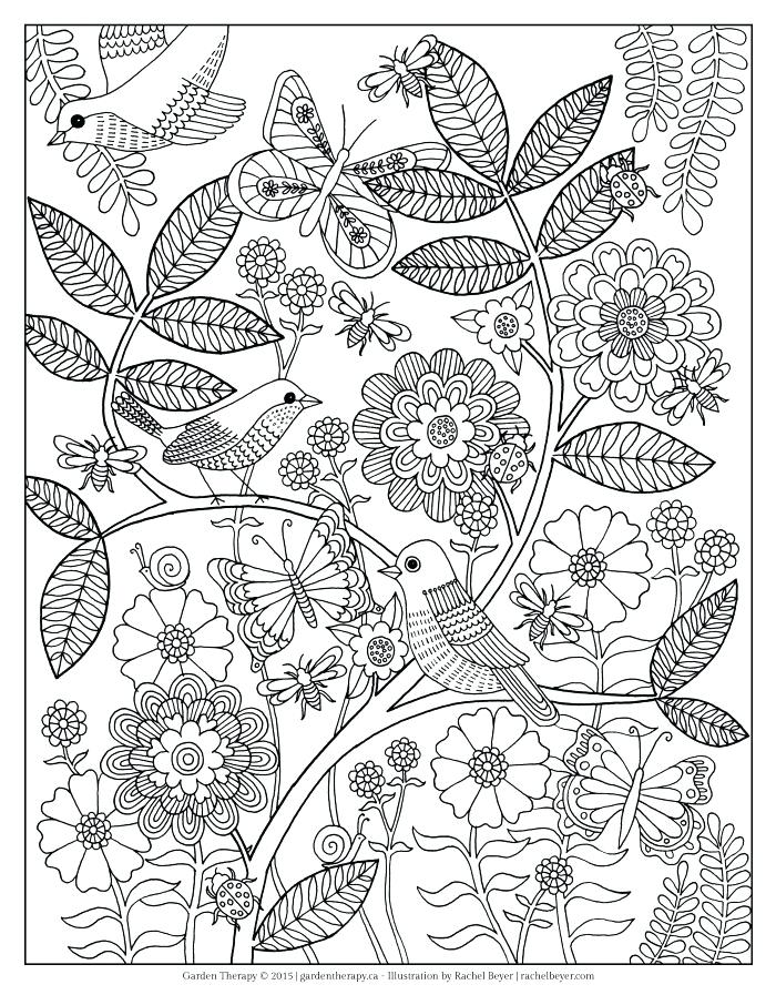 700x906 Border Coloring Pages Printable Butterfly And Flower Coloring Page