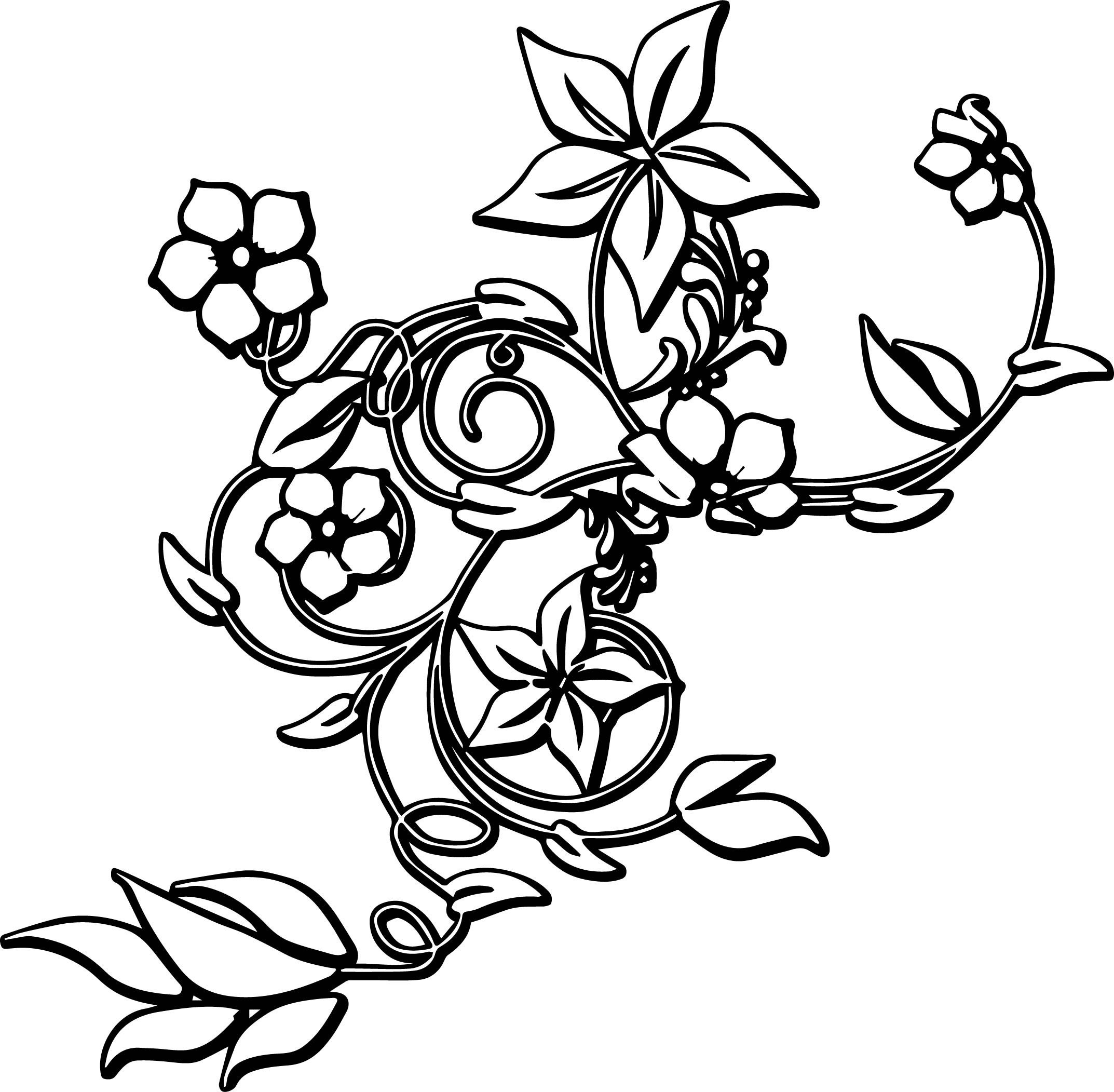 2146x2103 Fresh Abstract Dolphin Coloring Pages New Flower Border Abstract