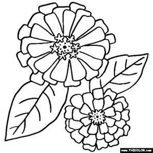 300x300 Zinnia Border Coloring Coloring Pages Crafts