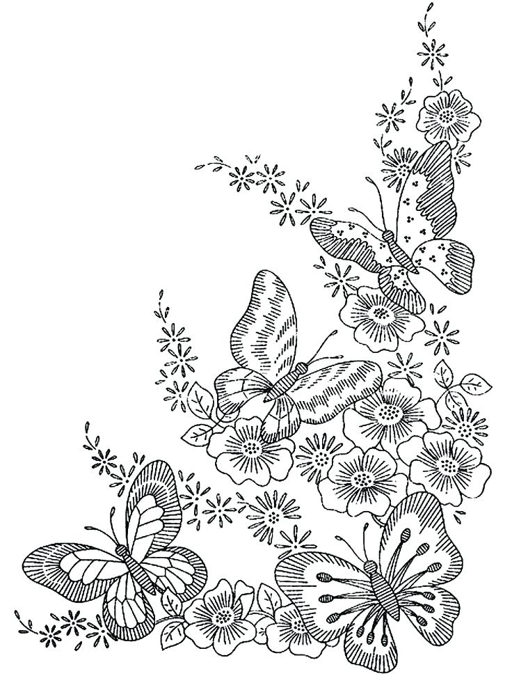 736x1004 Botany Coloring Pages Botany Lab Sheets Only Main Photo Cover Free