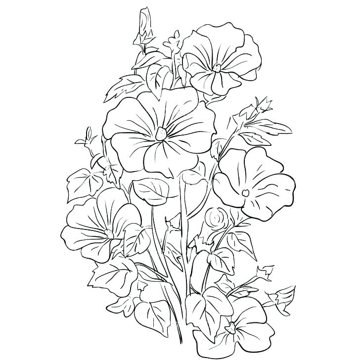 736x736 Intricate Flower Coloring Pages Flower Bouquet Coloring Pages