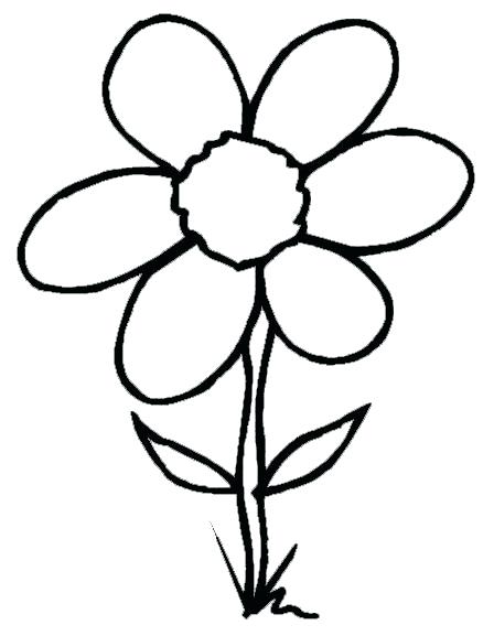448x577 Ideas Spring Flower Coloring Pages And Spring Flowers Coloring