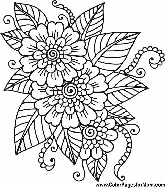 640x732 Flower Coloring Page 41