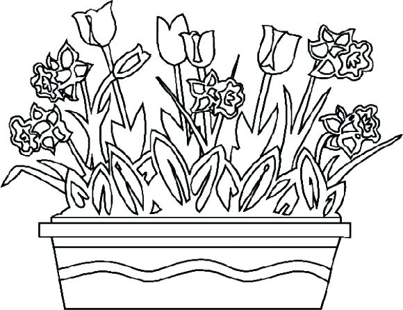 580x446 Realistic Flower Coloring Pages Realistic Flowers Coloring Pages