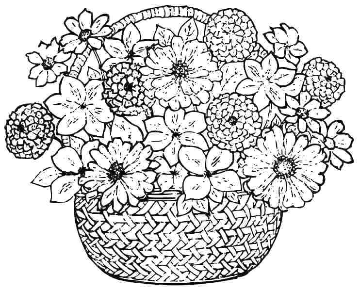 742x600 Amazing Spring Flowers Coloring Pages For Printable To Color