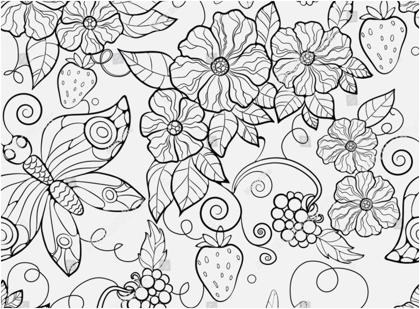 827x609 Flowers Coloring Pages Collection Butterfly And Flower Coloring