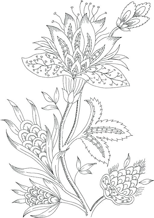 511x720 Free Printable Coloring Pages For Adults Free Printable Color