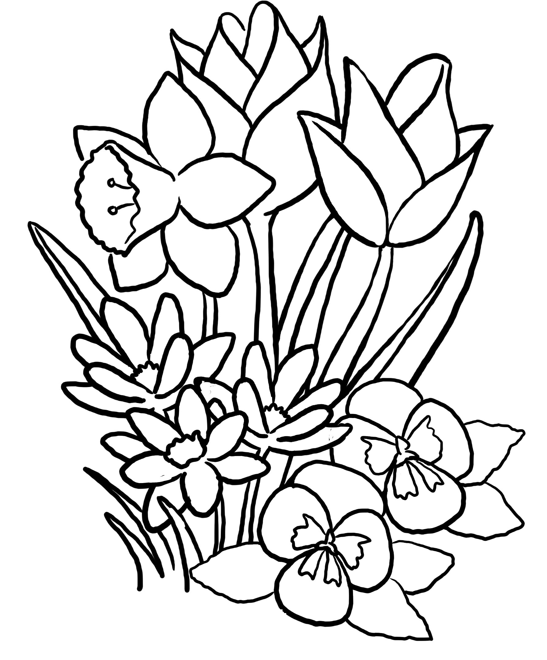 1785x2152 Free Printable Coloring Pages For Adults Printable