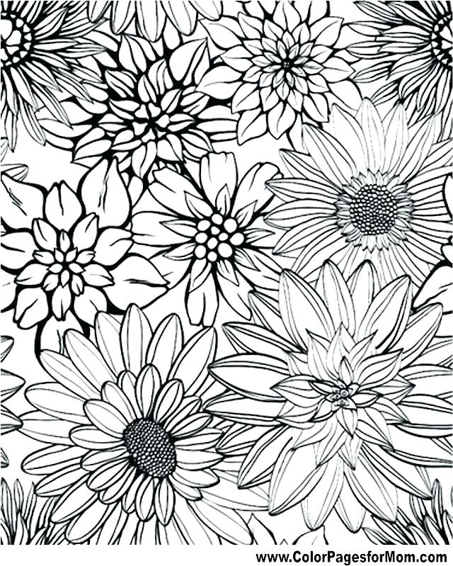 640x799 Coloring Pages Adults