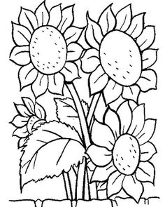 236x295 Printable Flowers To Color Flowers Coloring Pages Kids
