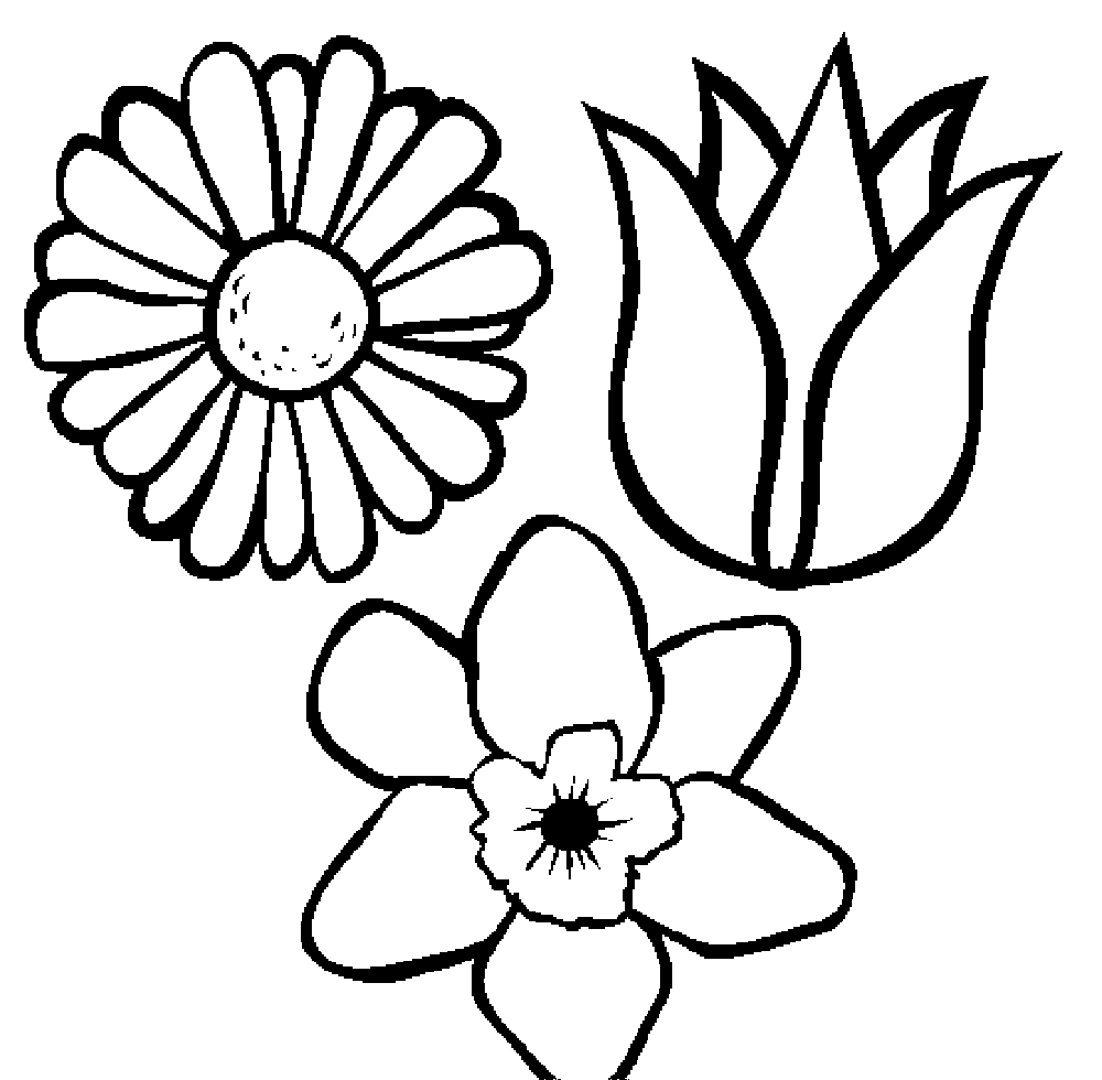 1000x980 Flower Coloring Pages For Kids