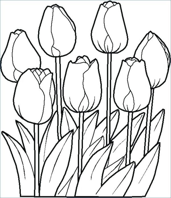 600x693 Flower Coloring Pages To Print Spring Flowers Coloring Pages