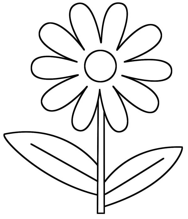 600x700 Daisy Coloring Pages Free Printable Intended For Designs 1