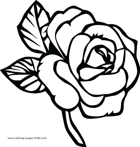 534x563 Free Printable Flowers Coloring Pages Coloring Free Printable