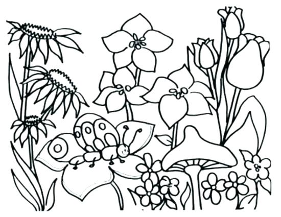 550x425 Spring Coloring Pages Preschool Spring Coloring Pages