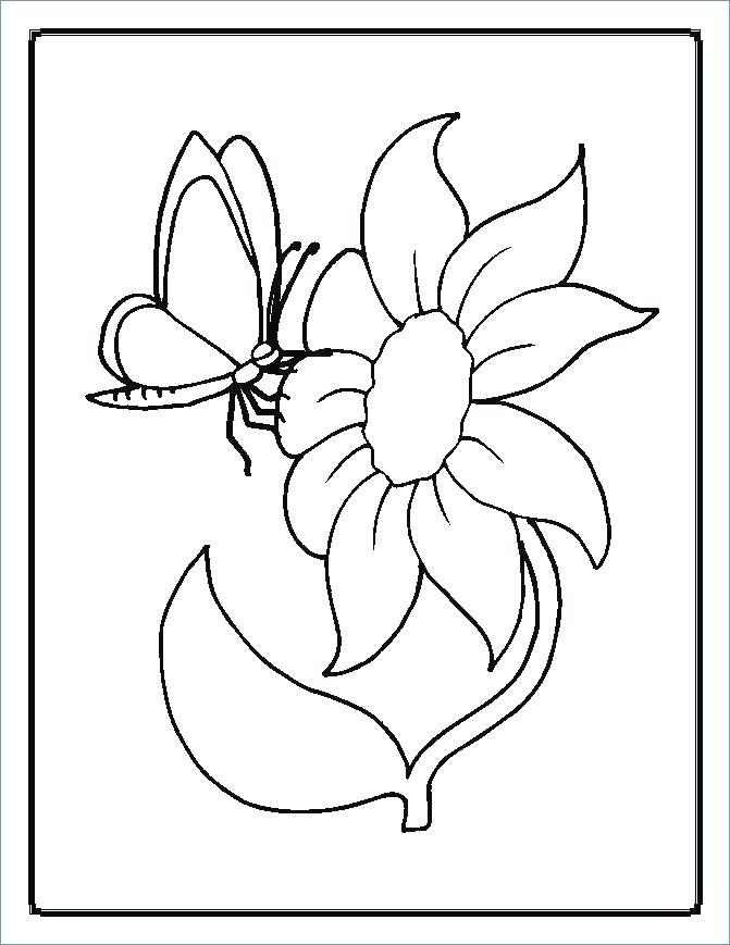 671x869 Coloring Pages Of Flowers For Preschool