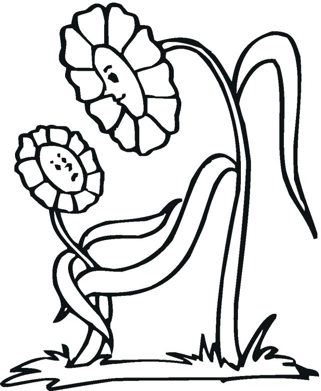 641x780 Flower Coloring Pages For Preschoolers Educational Flower