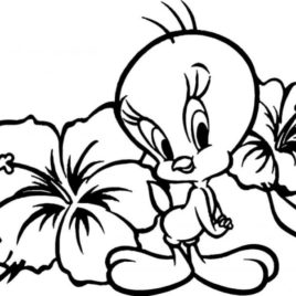 268x268 Coloring Pages For Girls 10 And Up Give The Best Coloring Pages