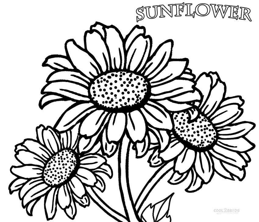 850x728 Printable Sunflower Coloring Pages For Kids Cool2bkids