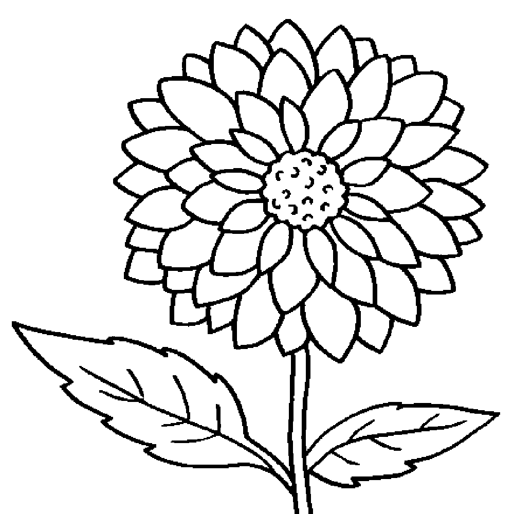 1000x1000 Awesome Sunflower Flower Coloring Sheet Design Printable