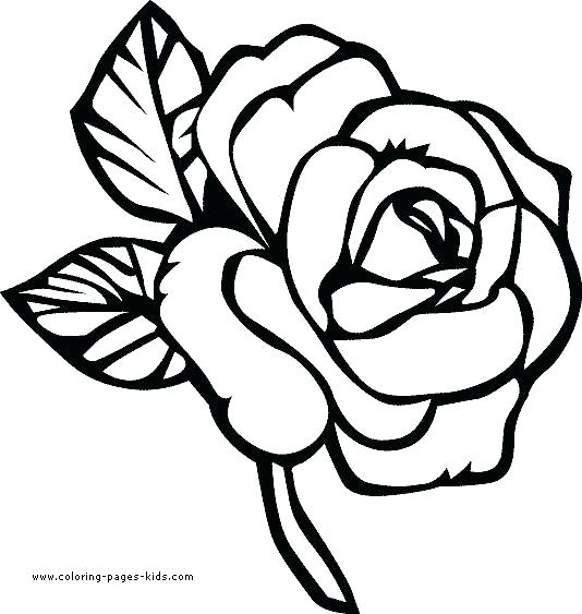 534x563 Flowers Coloring Pages For Kids