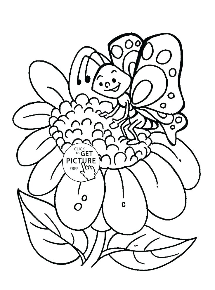 736x993 Flower Coloring Pages Pdf Or Flower Coloring Page Hibiscus Flower