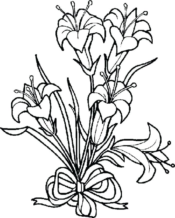 682x848 Free Coloring Pages Pdf Flower Coloring Pages Free Coloring Pages