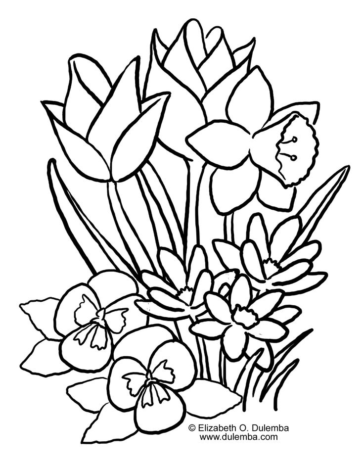 736x946 Spring Flower Coloring Pages 25 Unique Spring Coloring Pages Ideas