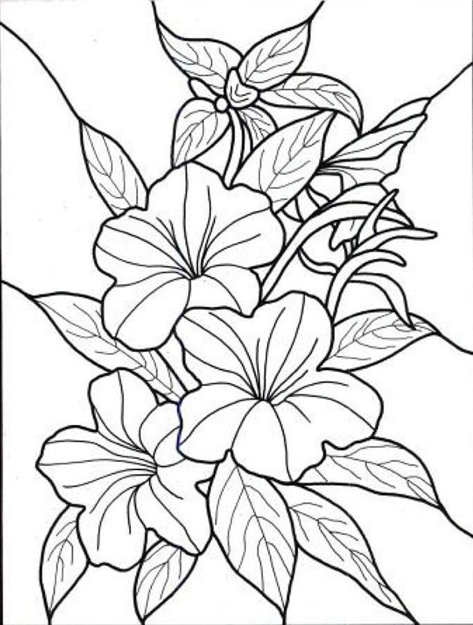 682x900 Adult Coloring Pages Flowers Best 25 Flower Coloring Pages Ideas