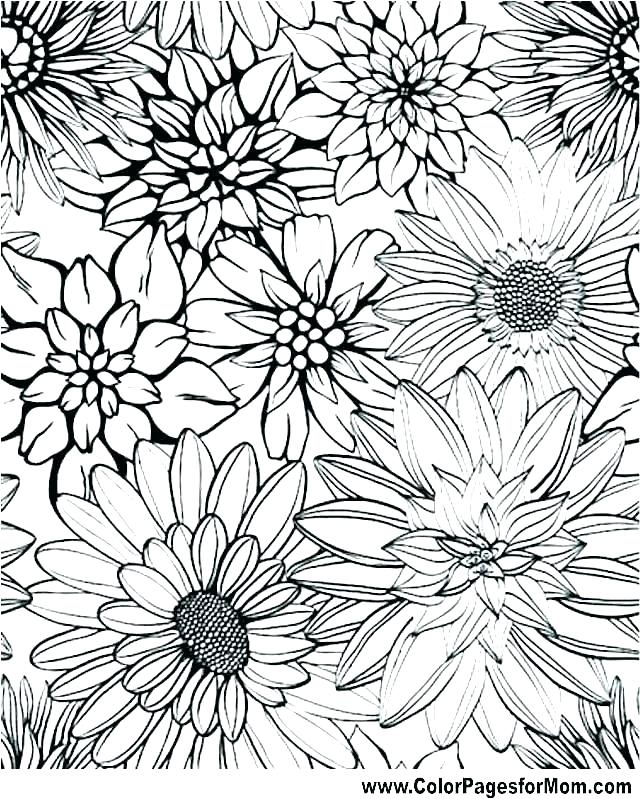 640x799 Advanced Coloring Pages To Print Free Advanced Coloring Pages