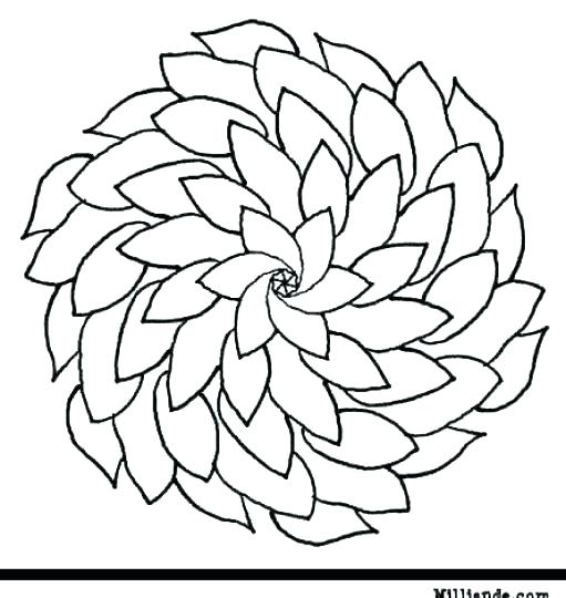 511x540 Flowers Coloring Pages Printable