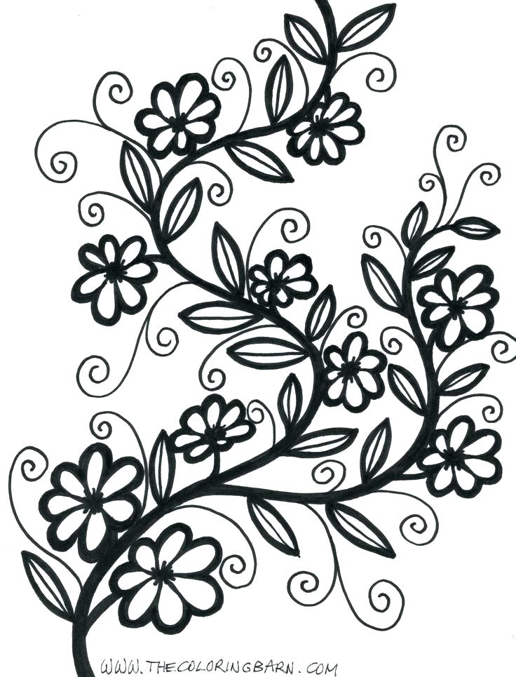 736x965 Flowers Color Pages Flowers Color Pages Printable Flower Patterns