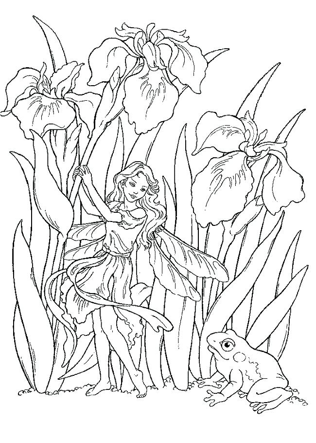 650x910 Flower Fairy Coloring Pages Fairy Intricate Coloring Page Flower