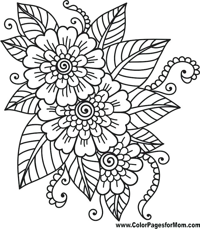 640x732 Photo To Coloring Page Coloring Pages Photo Coloring Page Impair.co