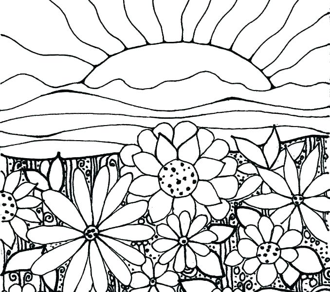 678x600 Flower Garden Coloring Pages Luxury Flower Garden Coloring Page