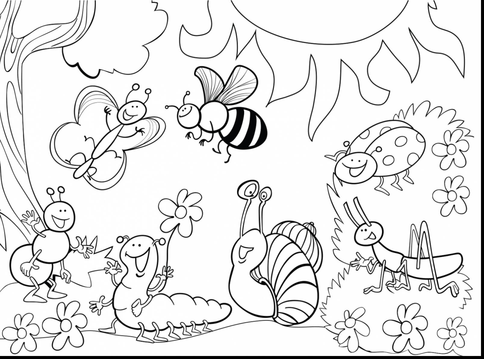 1608x1191 Garden Coloring Pages
