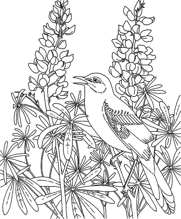 600x728 Coloring Pages Flower Garden 11
