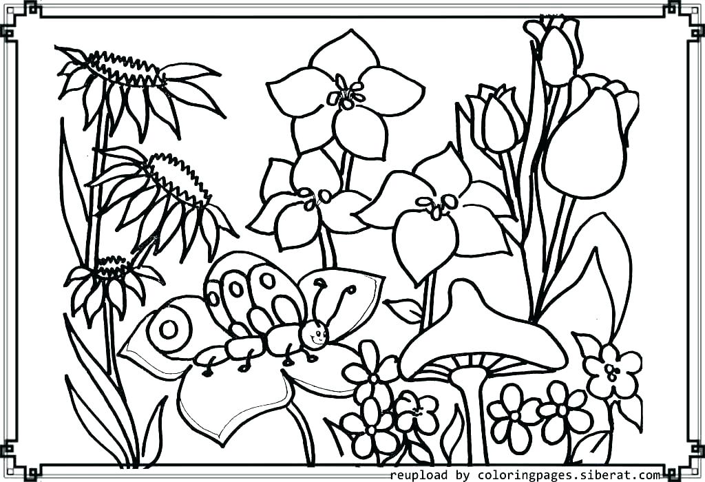 1024x700 Coloring Pages Garden Flower Garden Coloring Pages Garden Coloring